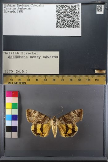 Media type: image;   Entomology 749321